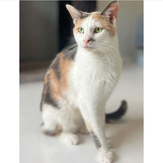 Photo of 11766   May