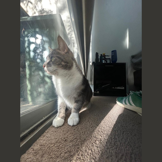 Photo of Anakin