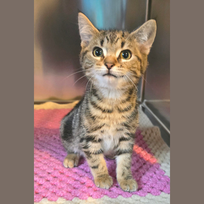 Photo of Nigel