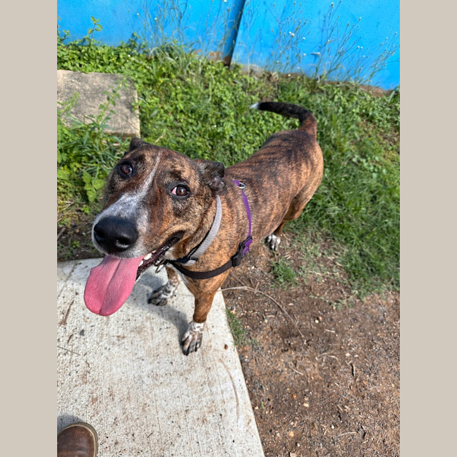 Photo of Honey