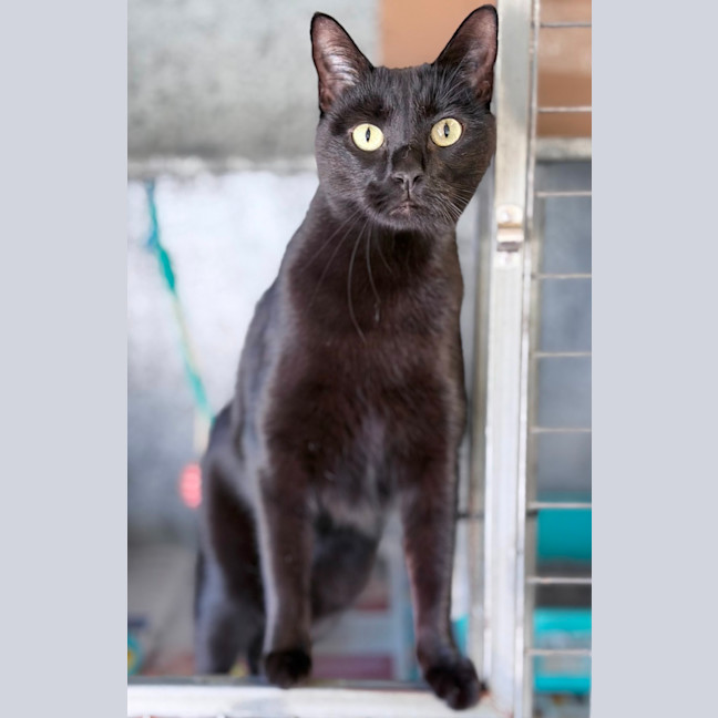 Photo of Esme