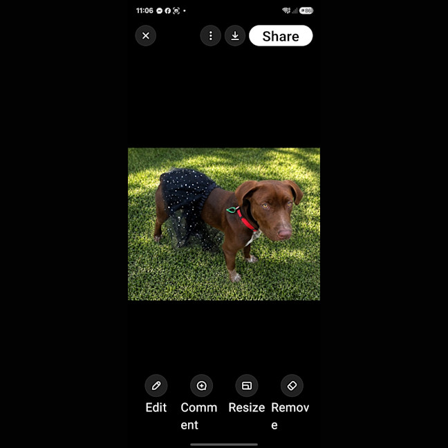 Photo of Cino
