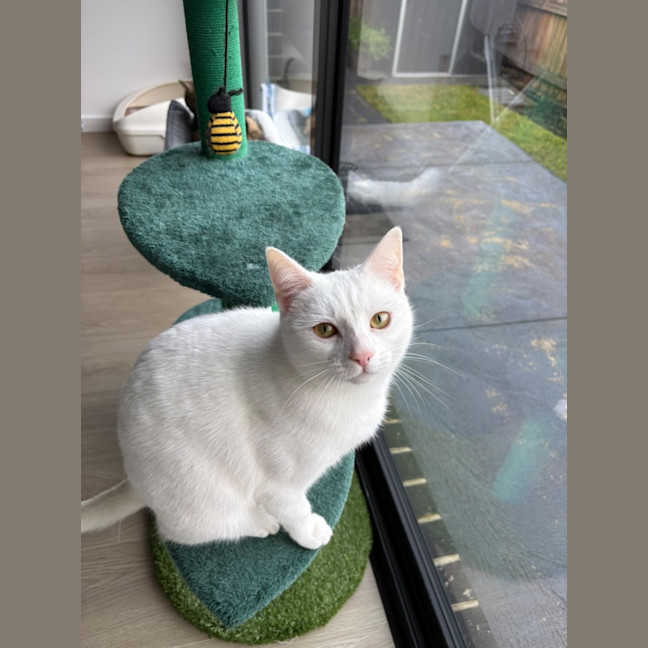 Photo of Yuki