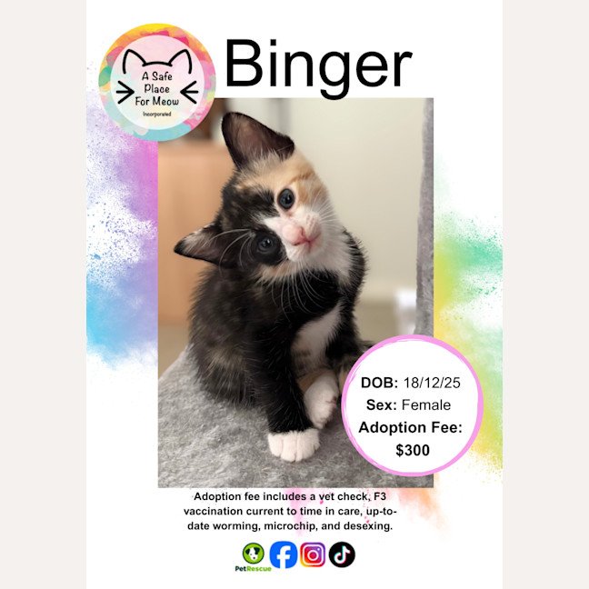Photo of Binger