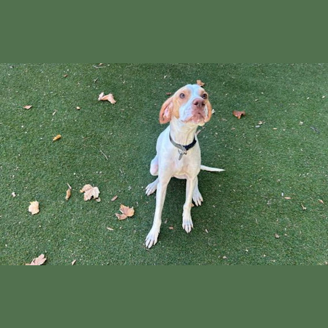 Photo of Luna