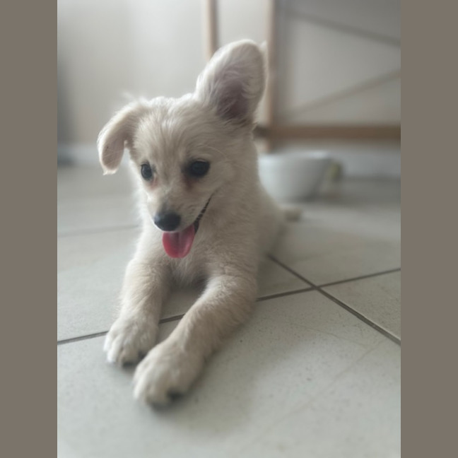 Photo of Handsome Jack 