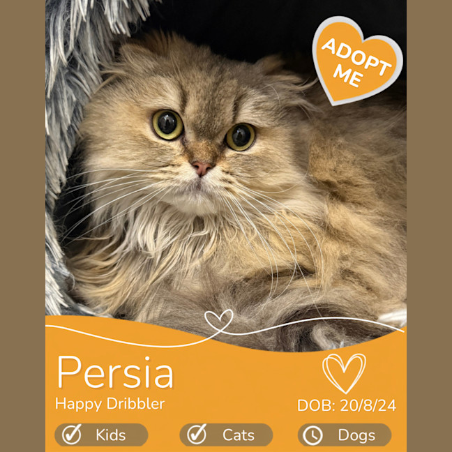Photo of Persia
