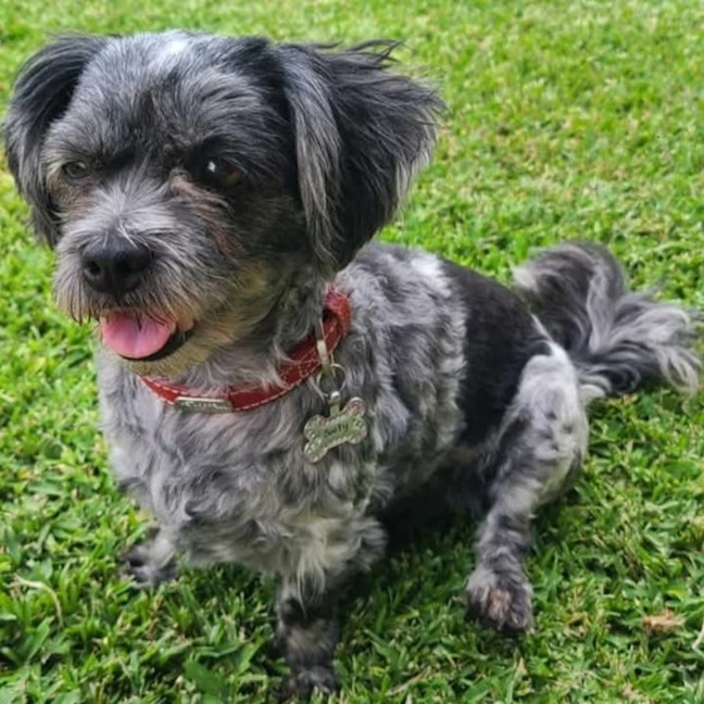 Photo of Jack & Sooty