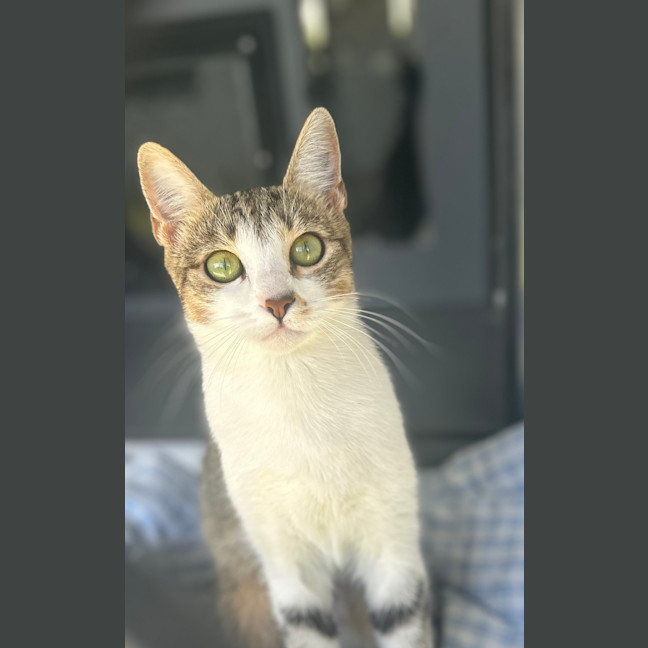 Photo of Susie Q