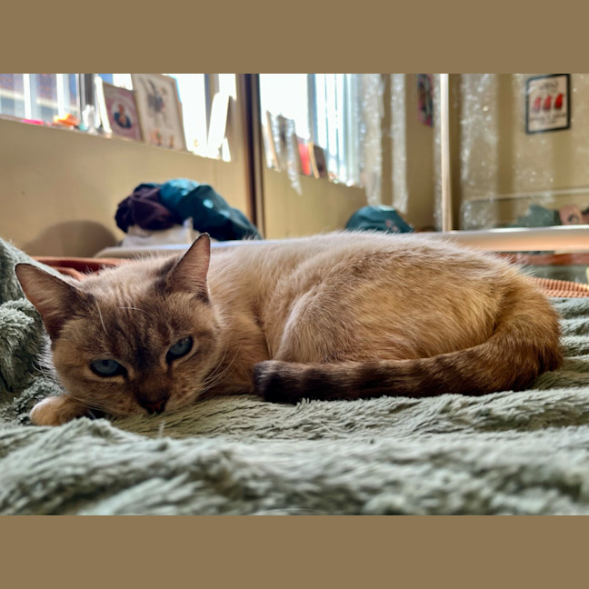 Photo of Pearl