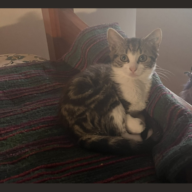Photo of Francine
