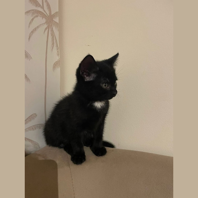 Photo of Johnny Walker