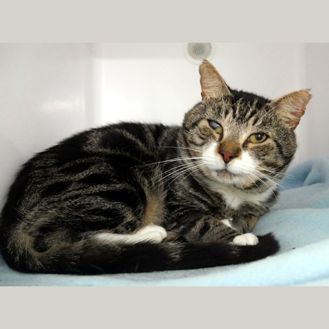 Photo of Krieg Sta013704