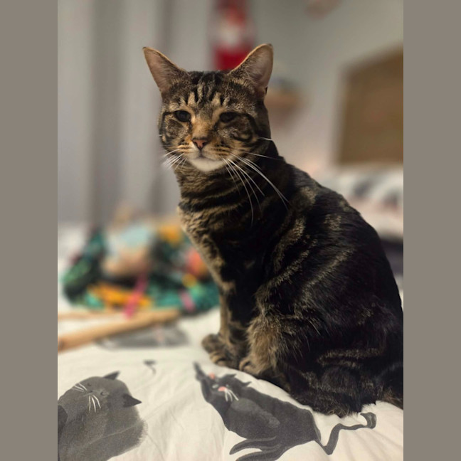 Photo of Buddy
