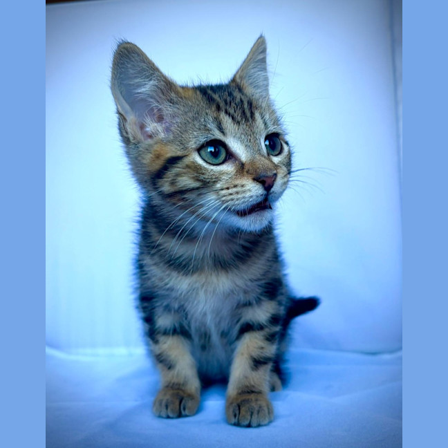Photo of Zippy