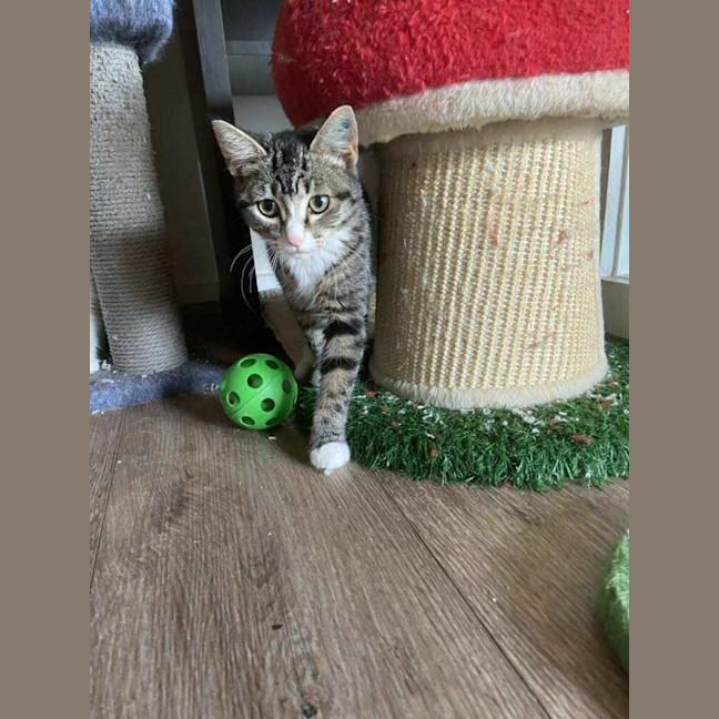 Photo of Amara