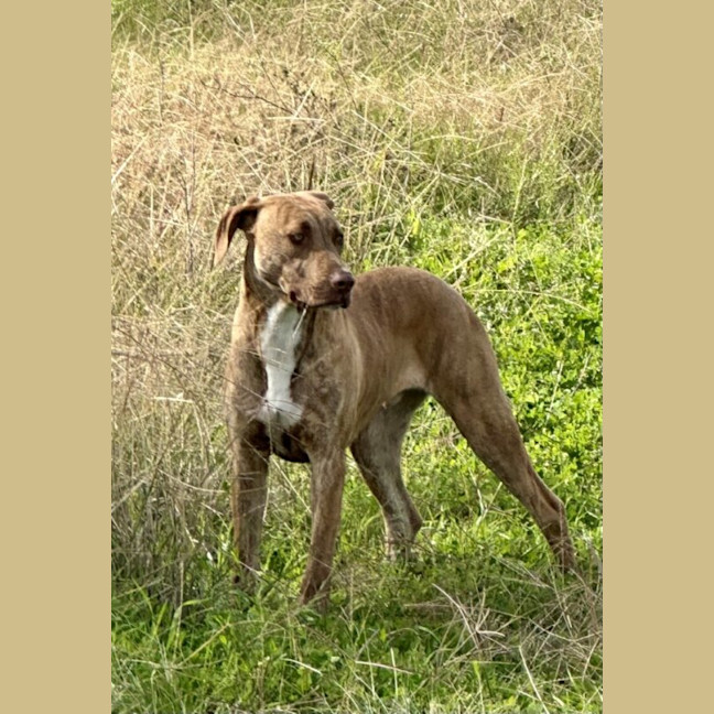 Photo of Jax