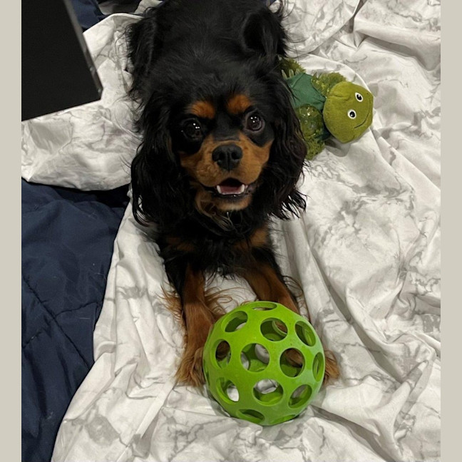 Photo of Walter Quinnell