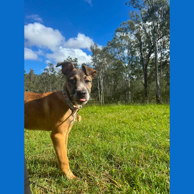 Photo of Ernie