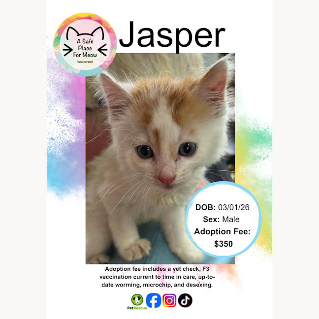 Photo of Jasper