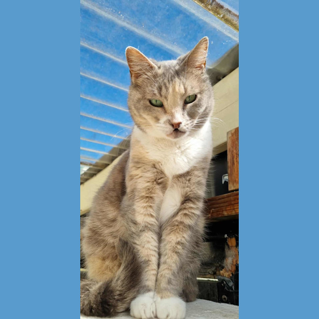 Photo of Zoe