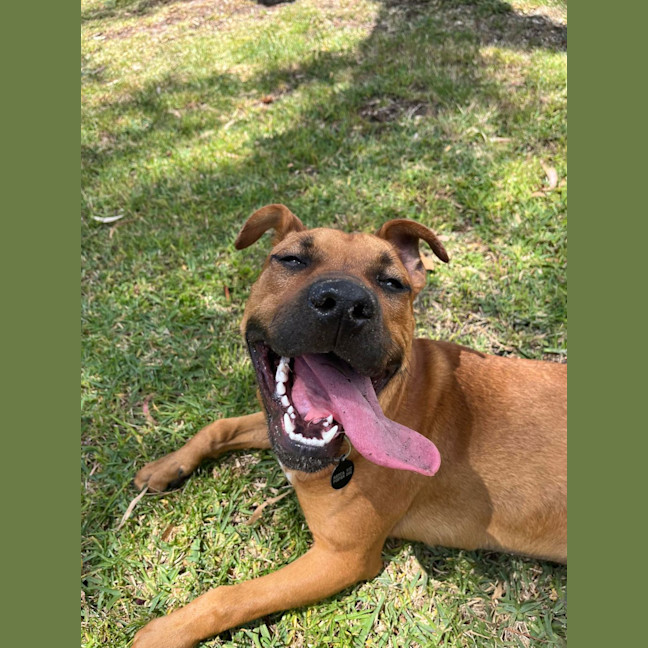 Photo of Pumpkin