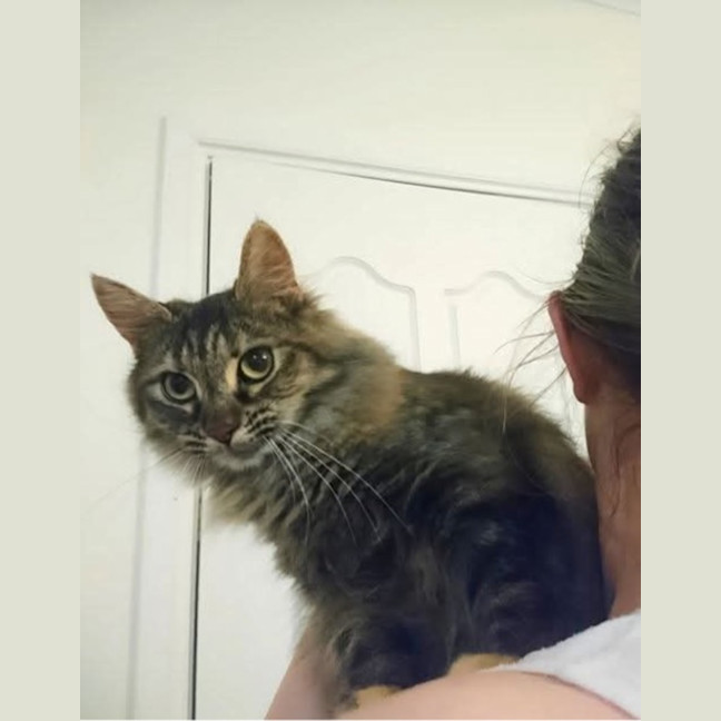 Photo of Fluffy
