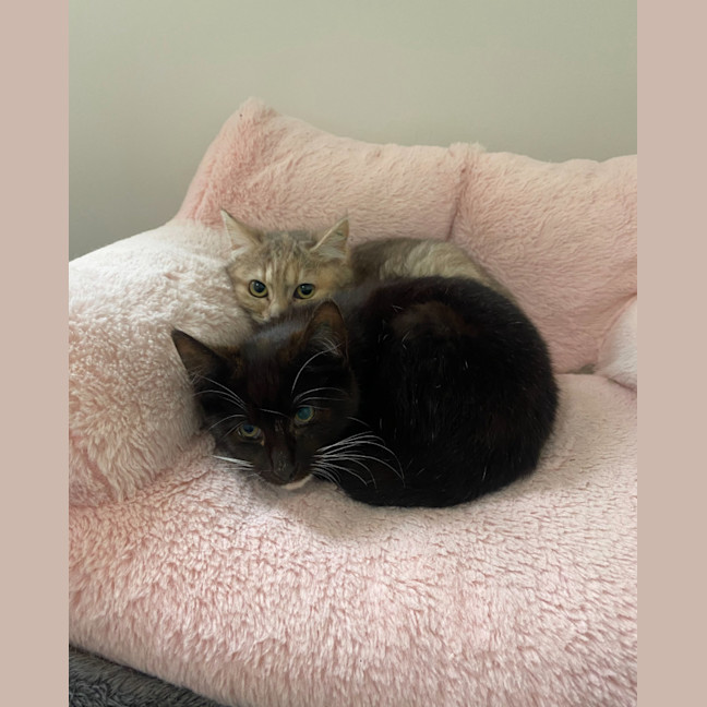 Photo of Astrid & Nova