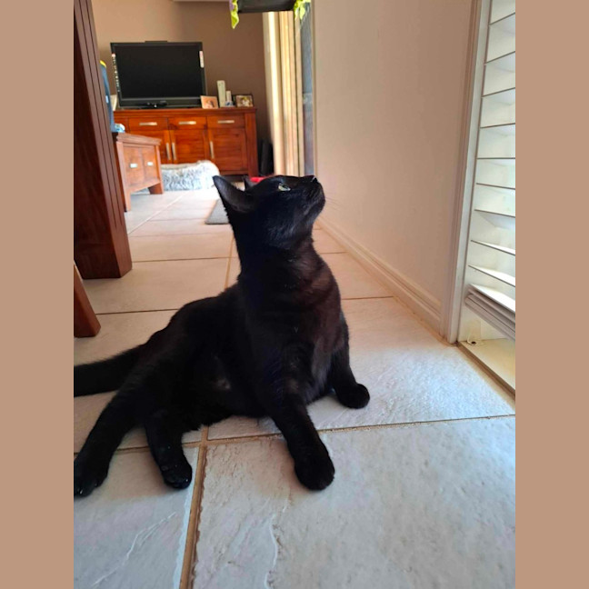 Photo of Terrence