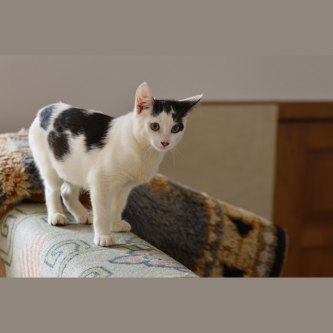 Photo of 💖💖💖Sage, T1 And W💖💖💖