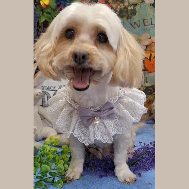 Photo of Molly & Benji