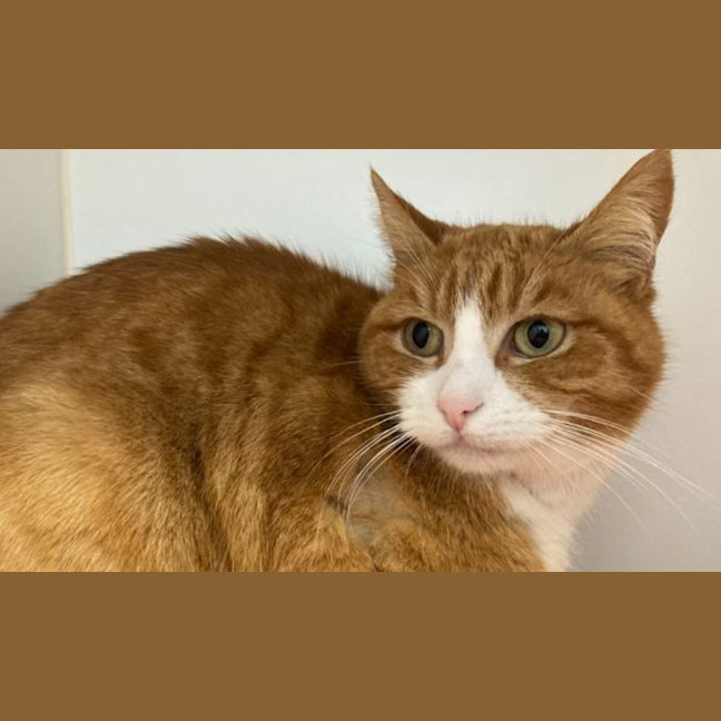 Photo of Ernie