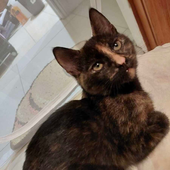 Photo of Pink   Located In Reservoir