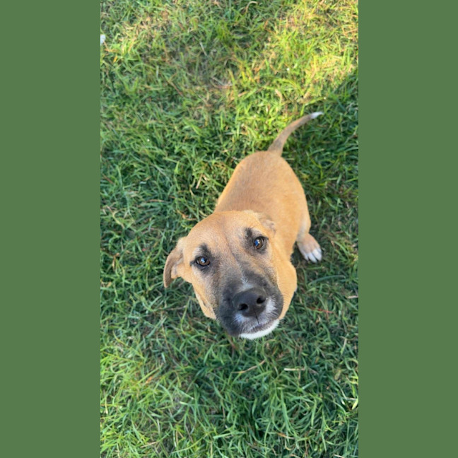 Photo of Vanity Smurf