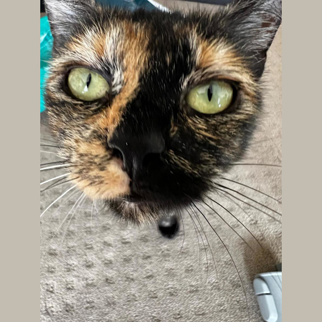 Photo of Emmy