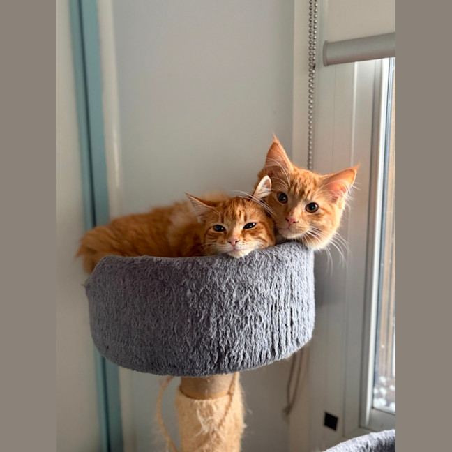 Photo of Flora And Sunny