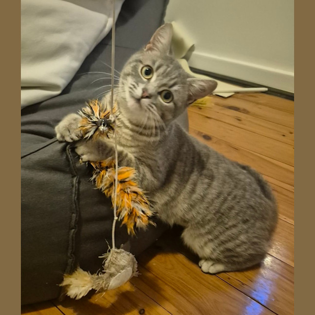 Photo of Sylvie