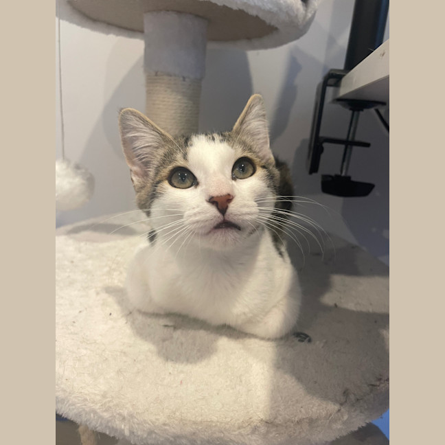 Photo of Gnocchi 🥔