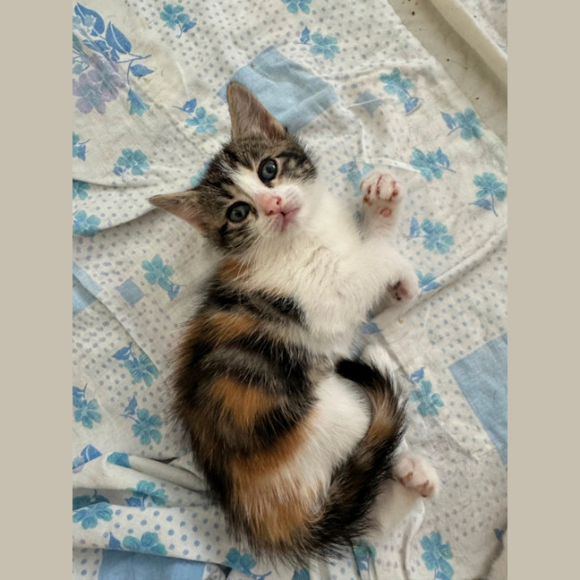 Photo of Clara