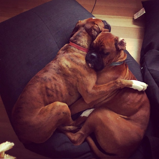 Photo of Lloyd And Harry