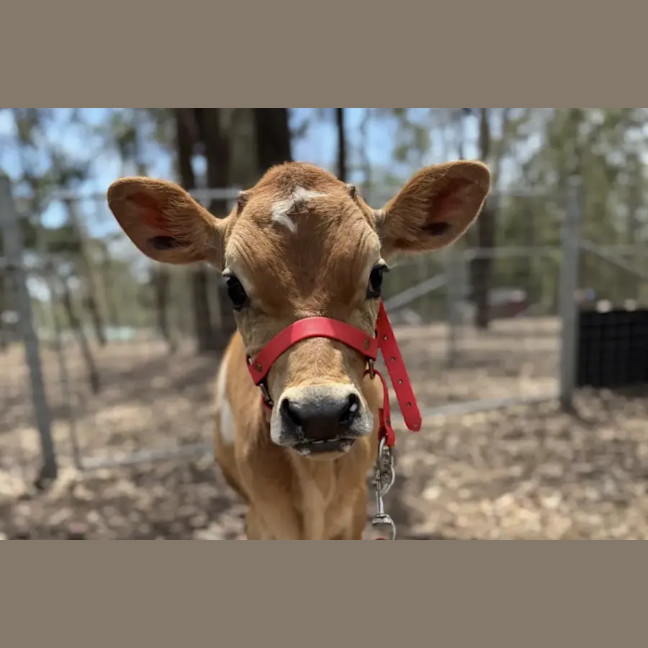 Photo of Summer And Paddy