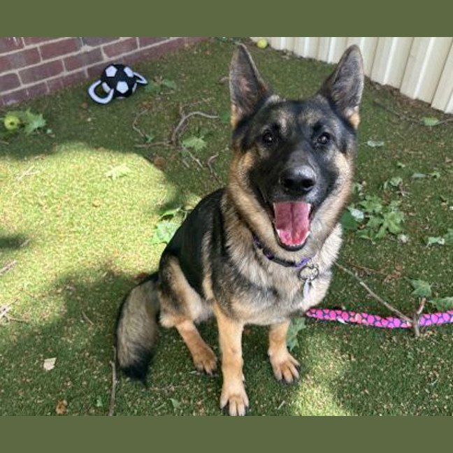 Photo of Maggie