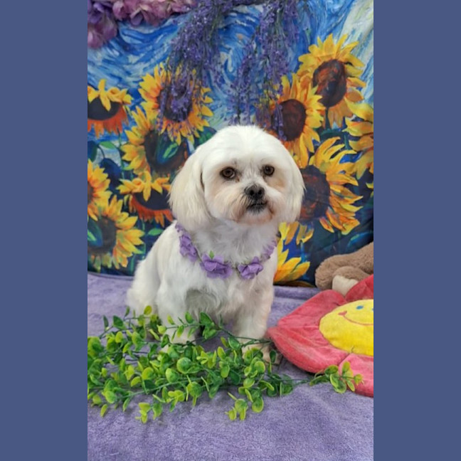Photo of Lexi