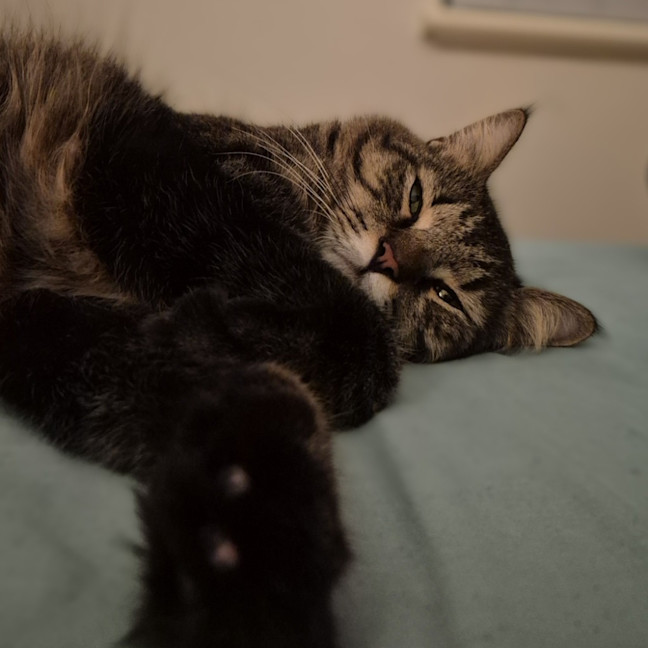 Photo of Tom