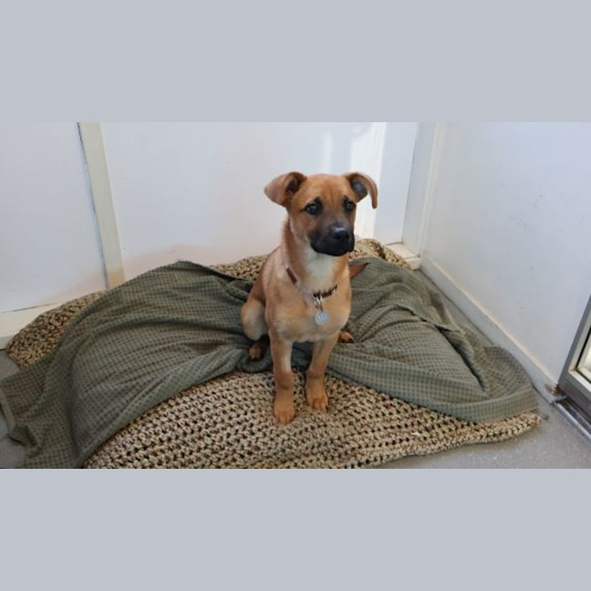Photo of Belle