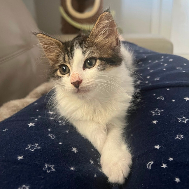 Photo of Audrey 💕