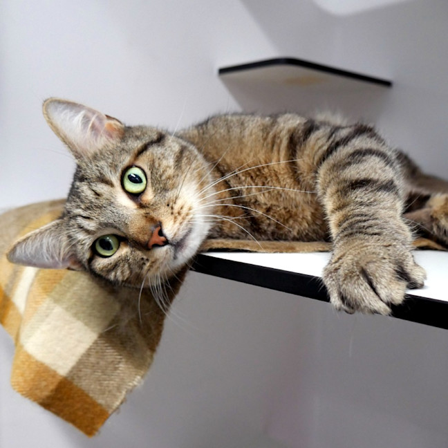 Photo of Reggie Sua015204