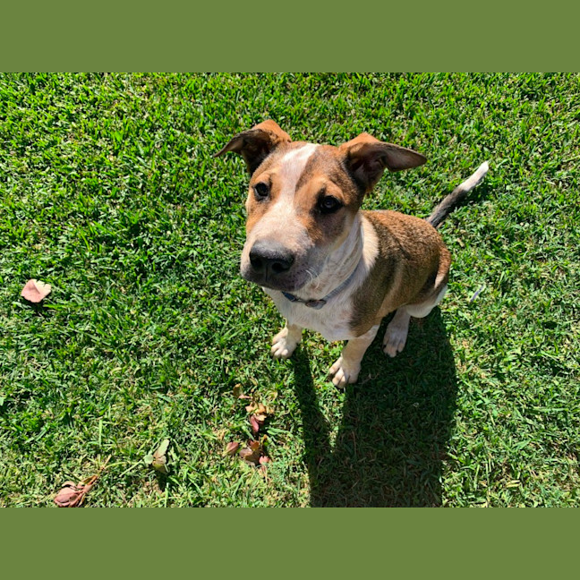 Photo of Hunter