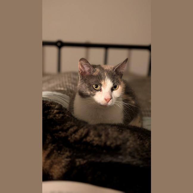 Photo of Mabel