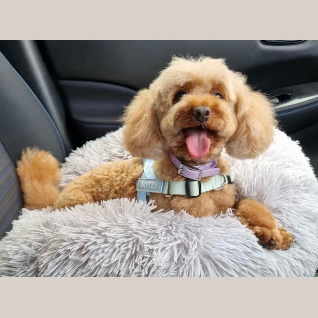 Photo of Mitzi